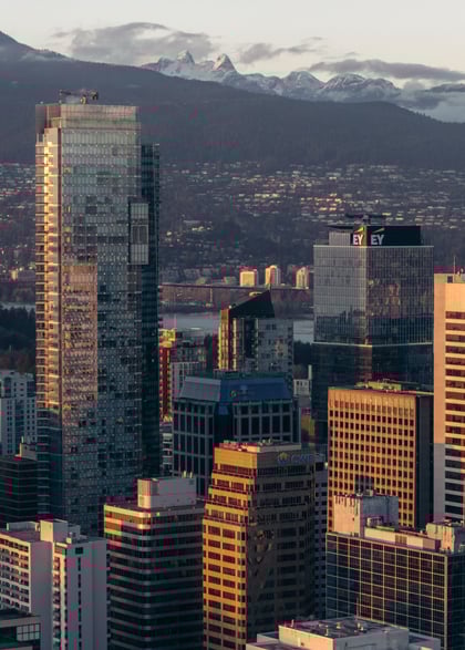 americas-dpo-service